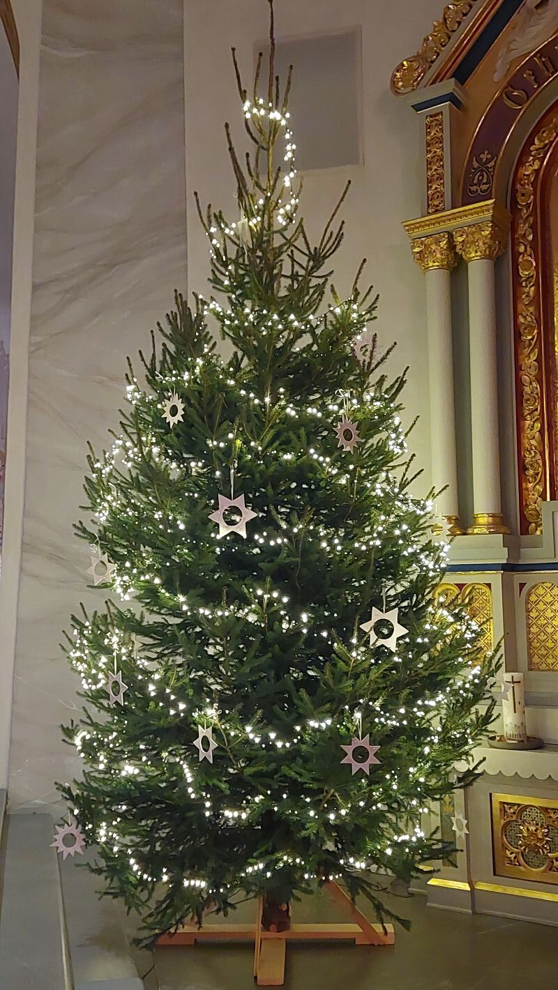 Du betrachtest gerade Christbaum für unsere Kirche