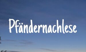 Mehr über den Artikel erfahren Einladung zur Pfändernachlese